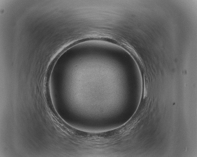 X0000085210387200703231512