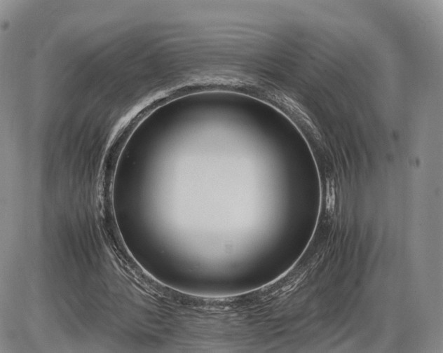 X0000085210388200703231512