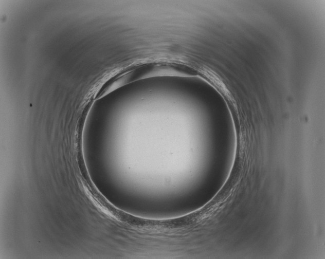 X0000085210389200703231512