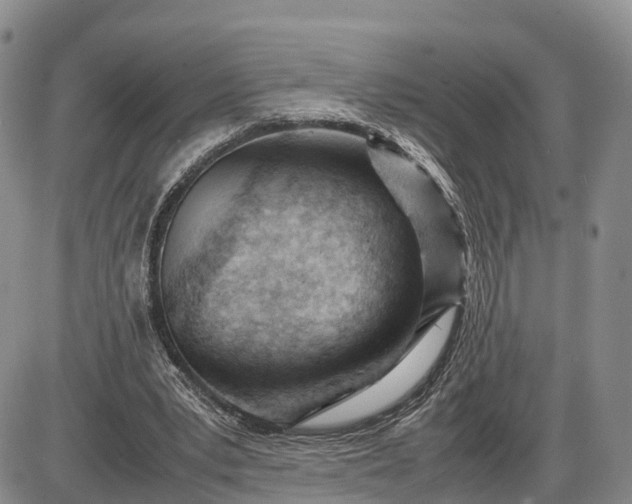 X0000085210391200703231512