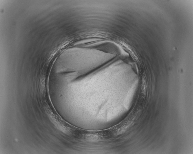 X0000085210394200703231512