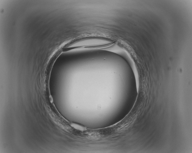 X0000085210395200703231512