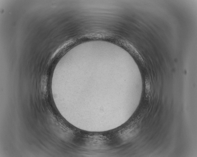 X0000085210396200703231512