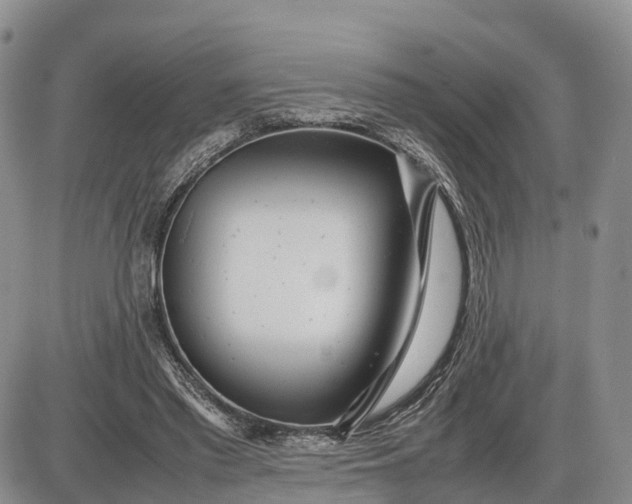 X0000085210397200703231512