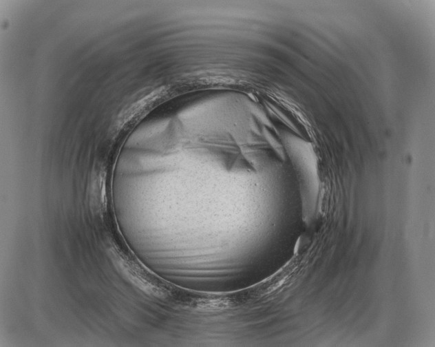 X0000085210398200703231512