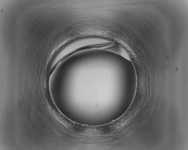 X0000085210399200703231512