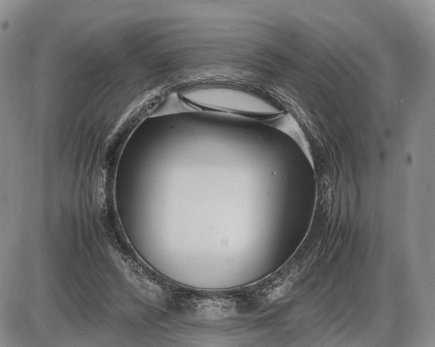 X0000085210400200703231512