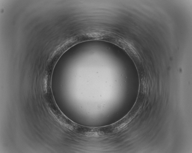 X0000085210404200703231512