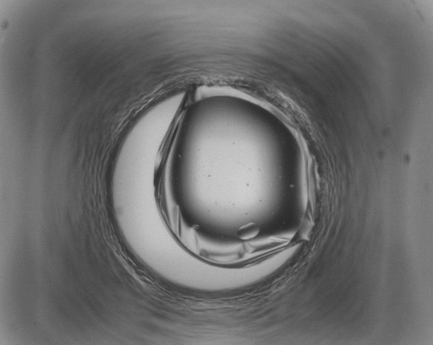 X0000085210405200703231512