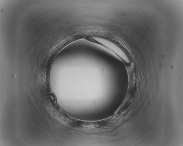 X0000085210407200703231512