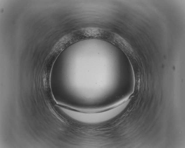 X0000085210408200703231512