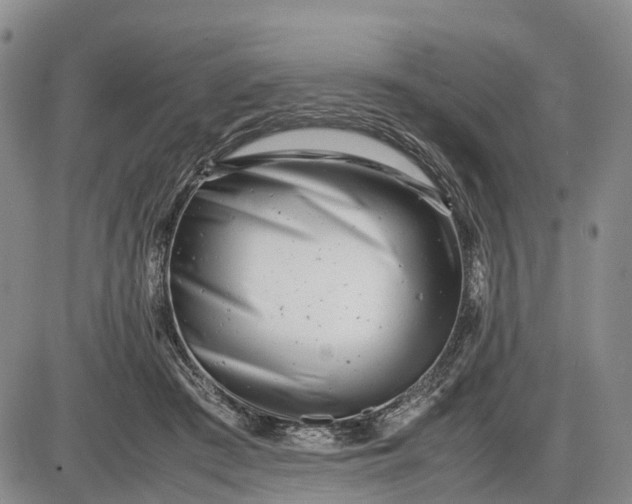 X0000085210409200703231512