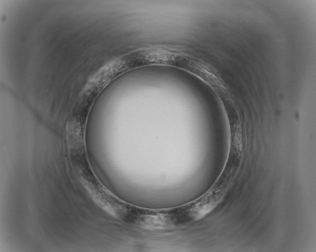 X0000085210411200703231512