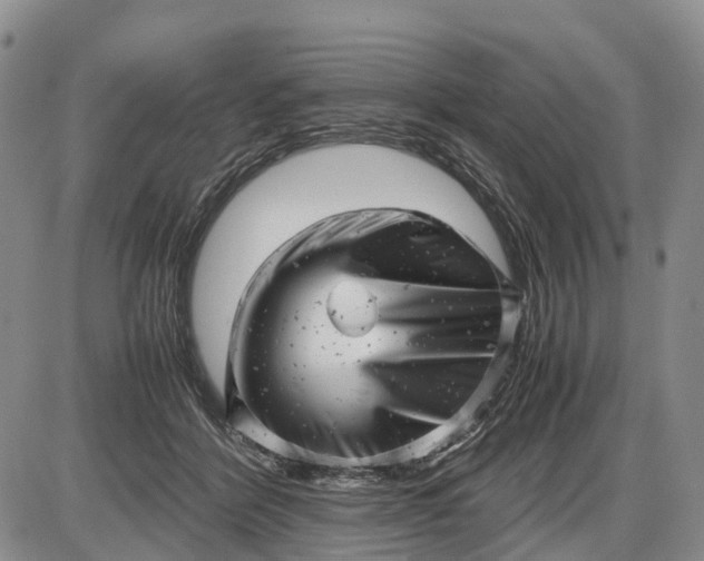 X0000085210412200703231512