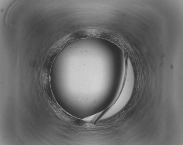 X0000085210413200703231512