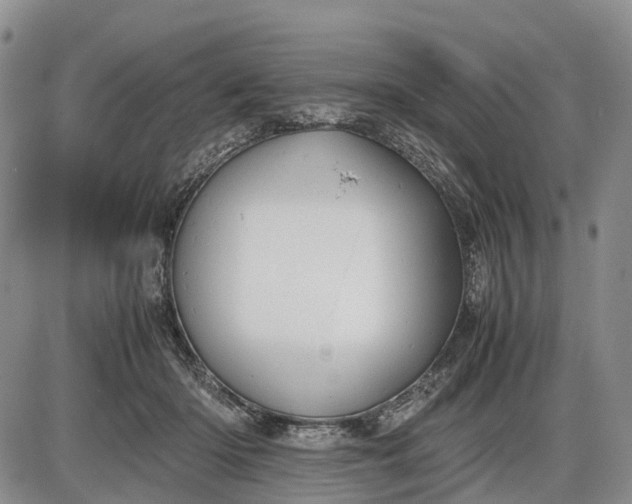 X0000085210414200703231512