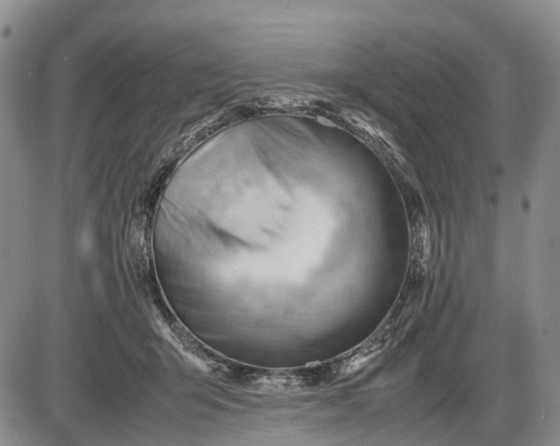 X0000085210415200703231512