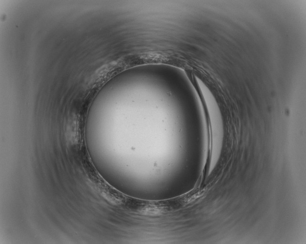 X0000085210416200703231512