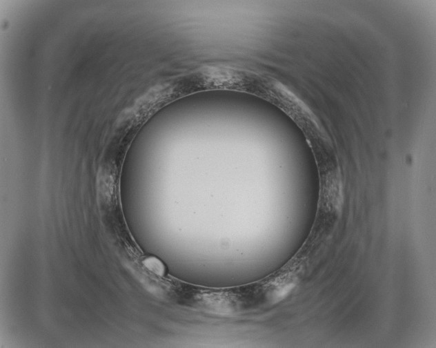 X0000085210417200703231512