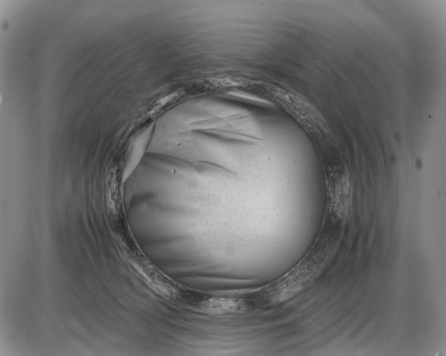 X0000085210418200703231512