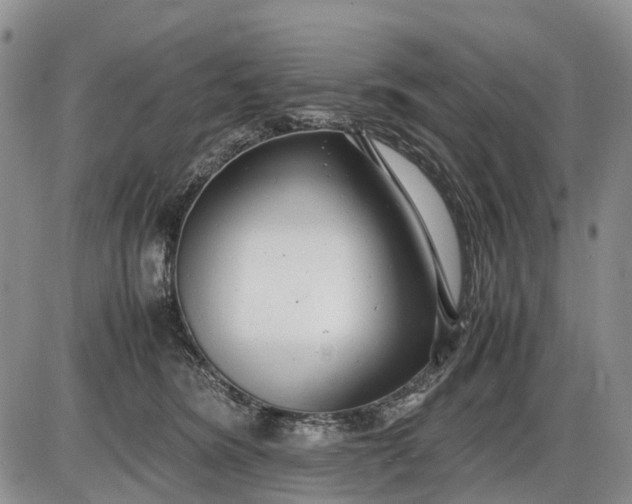 X0000085210420200703231512