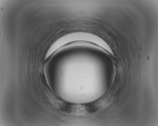 X0000085210421200703231512