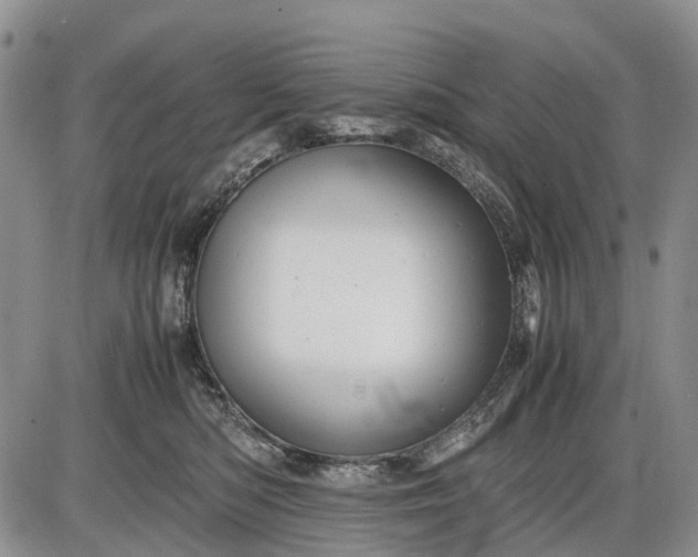 X0000085210422200703231512