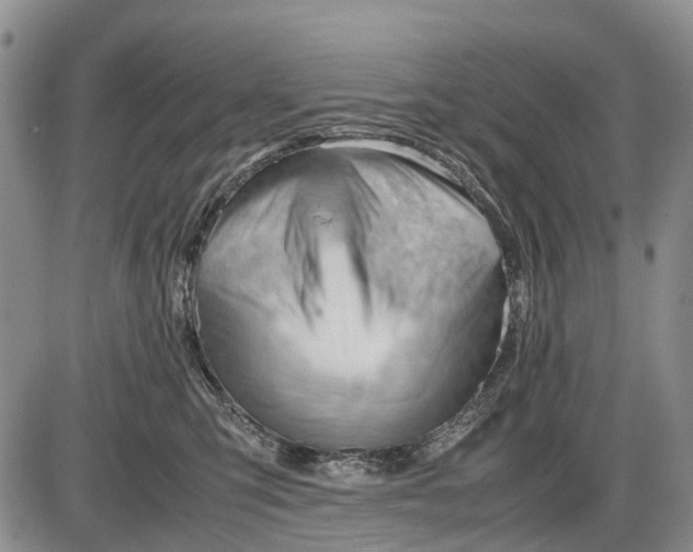 X0000085210423200703231512