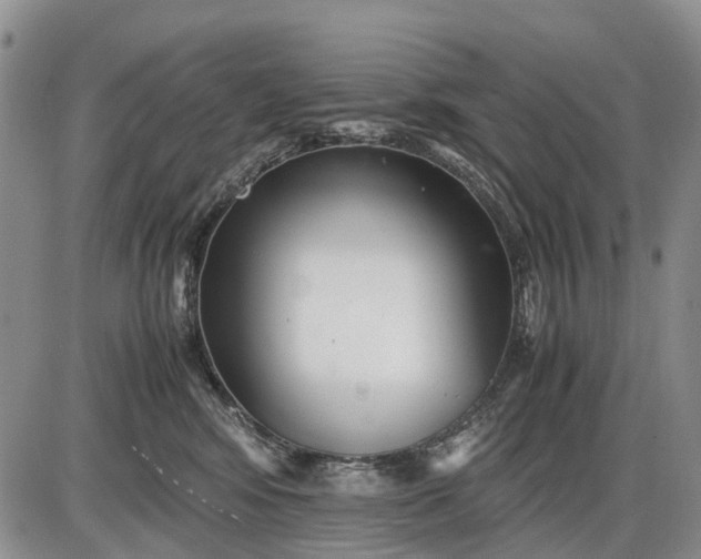 X0000085210424200703231512