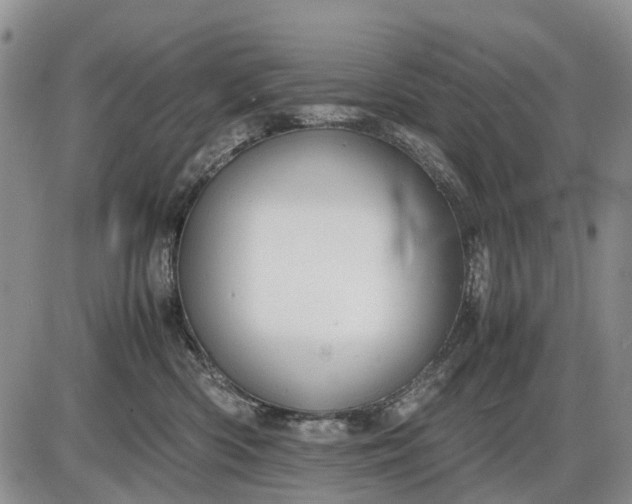 X0000085210426200703231512