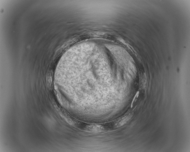 X0000085210427200703231512