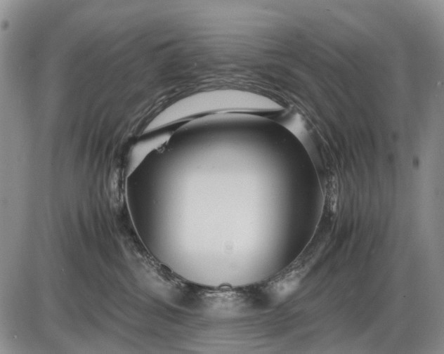 X0000085210428200703231512