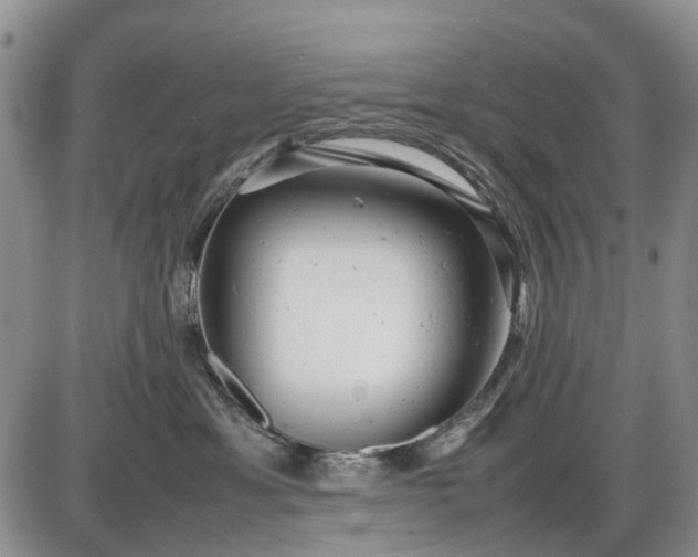 X0000085210429200703231512