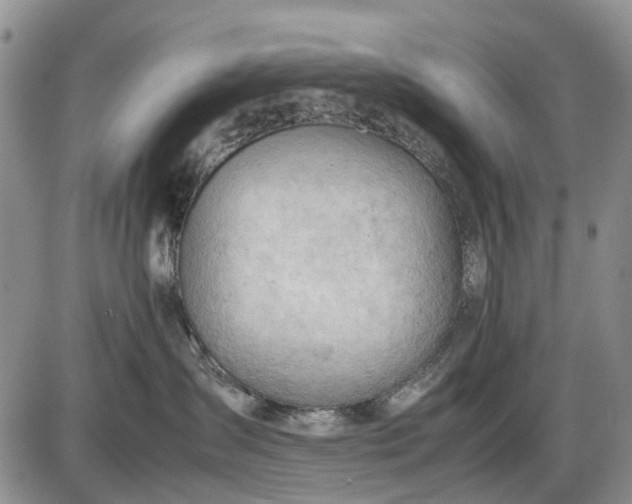 X0000085210431200703231512