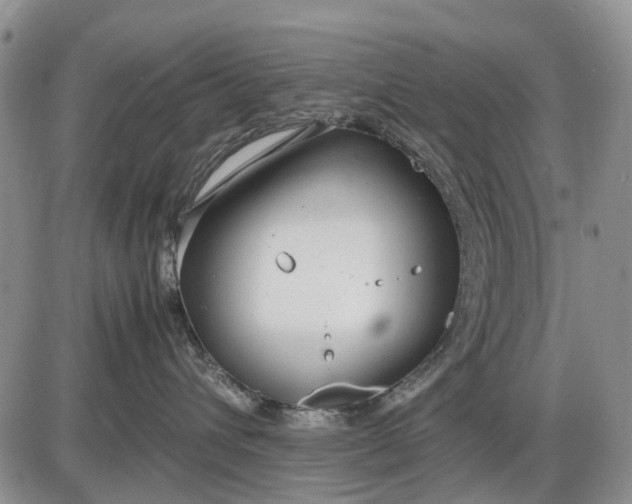 X0000085210432200703231512