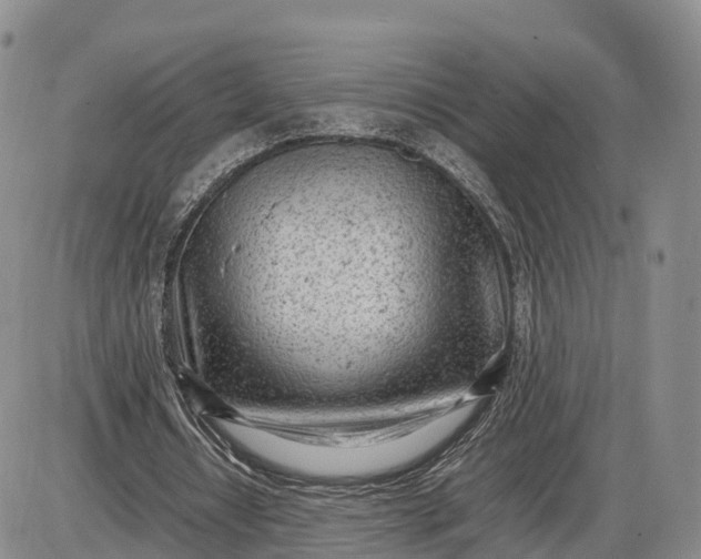 X0000085210434200703231511