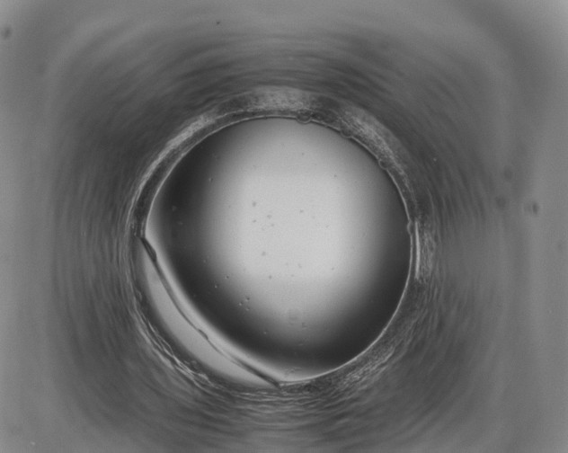 X0000085210435200703231511