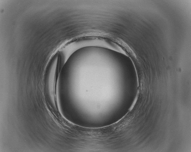 X0000085210436200703231511