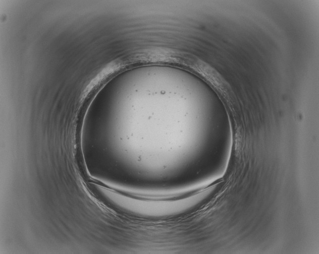 X0000085210438200703231511