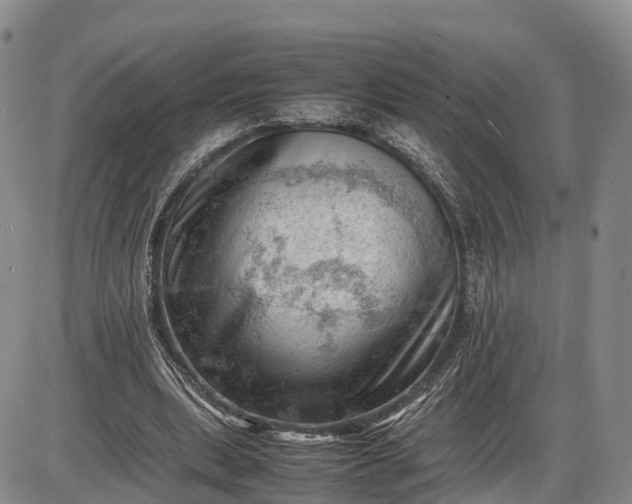 X0000085210439200703231511