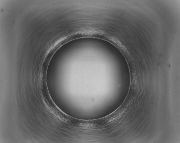 X0000085210440200703231511