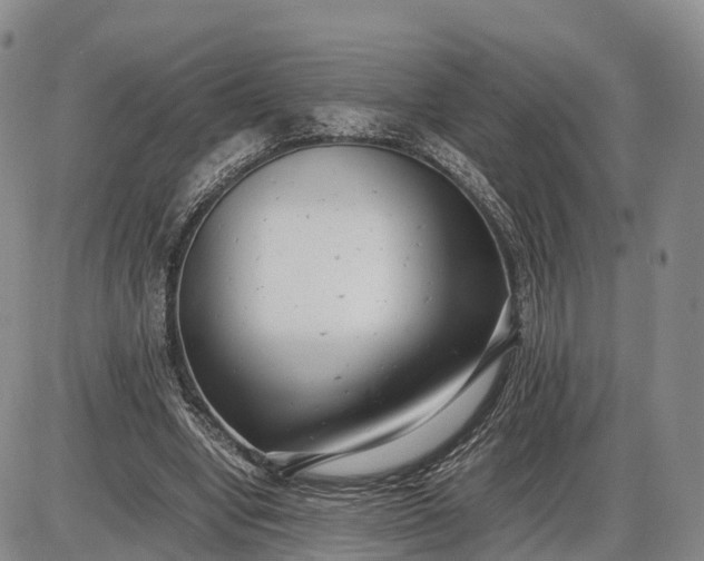 X0000085210442200703231511