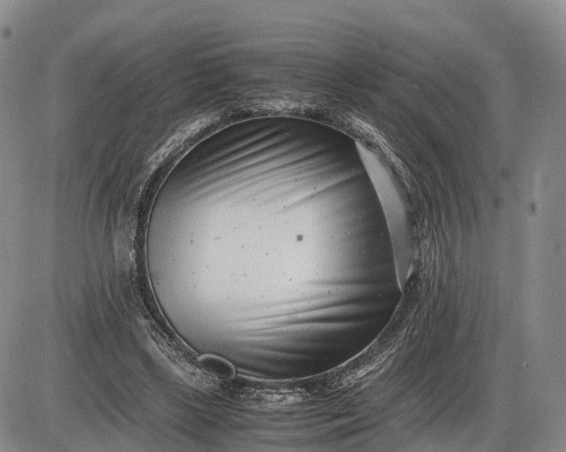 X0000085210443200703231511