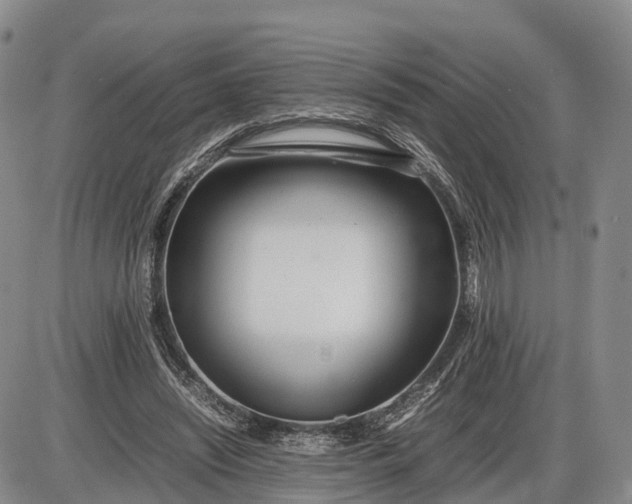 X0000085210444200703231511