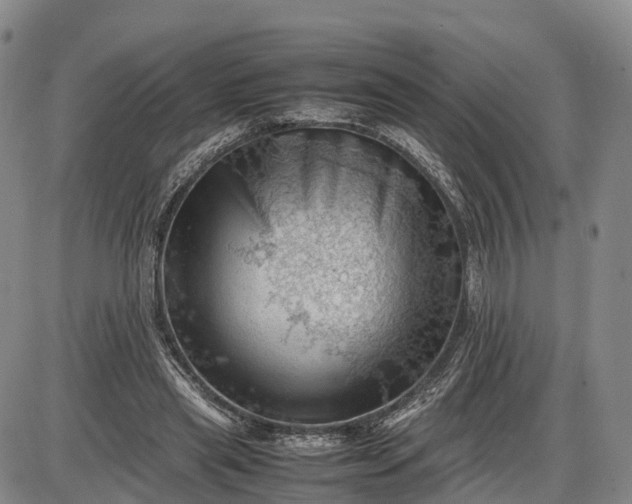 X0000085210445200703231511