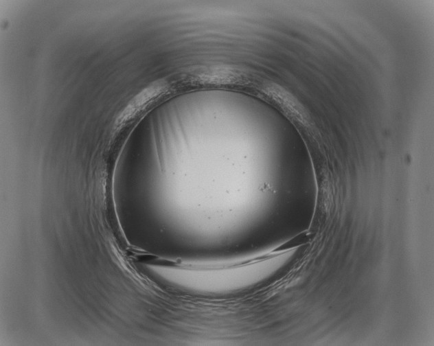 X0000085210446200703231511