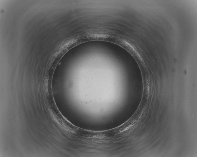 X0000085210447200703231511