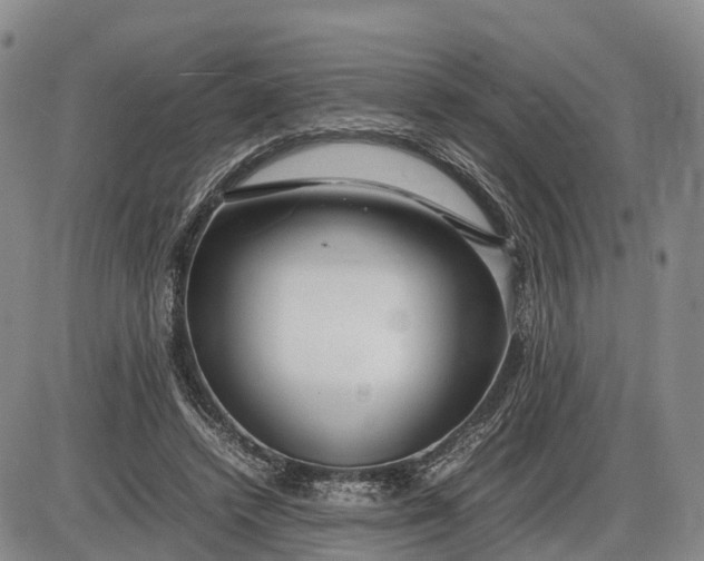 X0000085210448200703231511