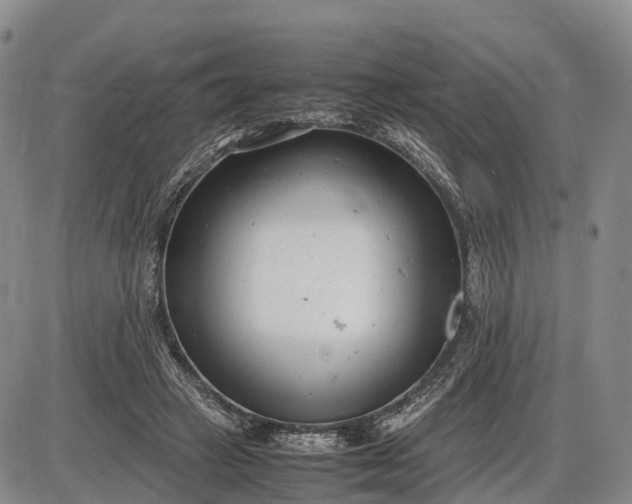 X0000085210449200703231511