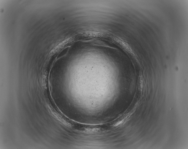 X0000085210450200703231511